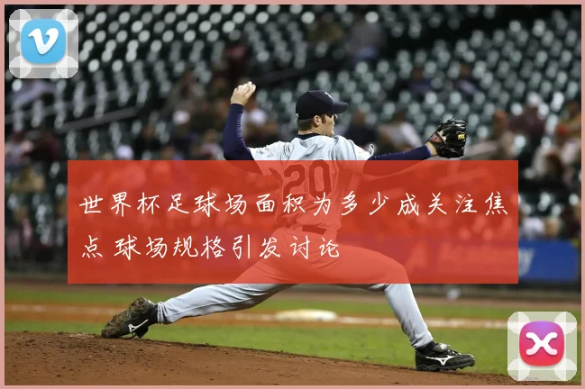 世界杯足球场面积为多少成关注焦点 球场规格引发讨论