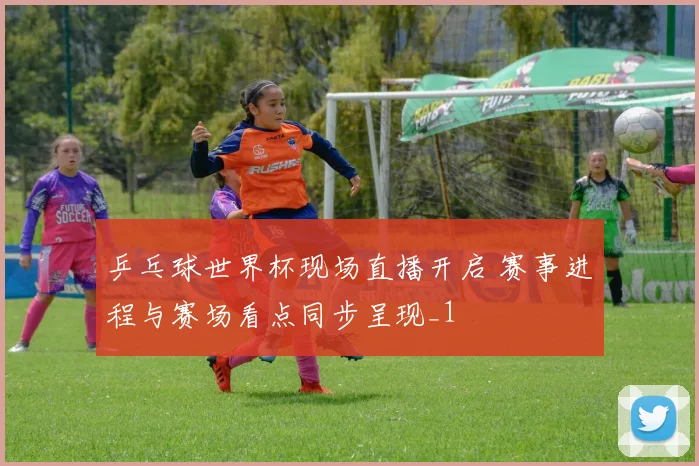 乒乓球世界杯现场直播开启 赛事进程与赛场看点同步呈现_1