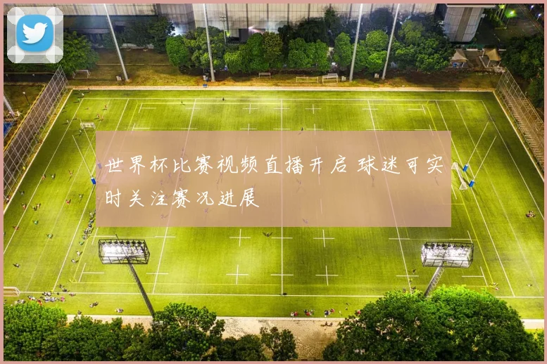 世界杯比赛视频直播开启 球迷可实时关注赛况进展