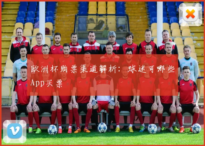 欧洲杯购票渠道解析:球迷可哪些App买票