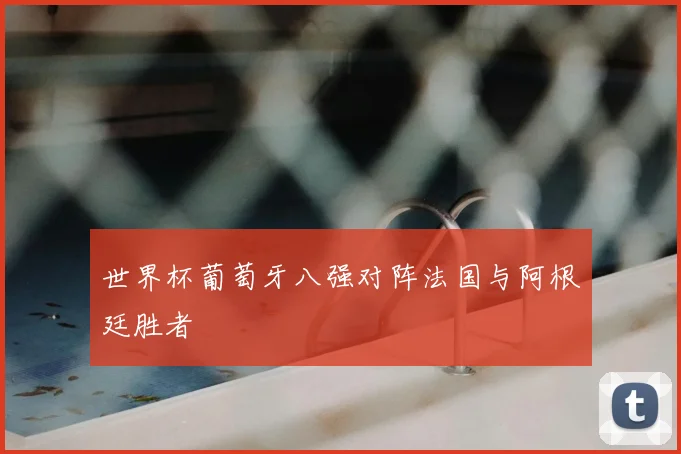 世界杯葡萄牙八强对阵法国与阿根廷胜者