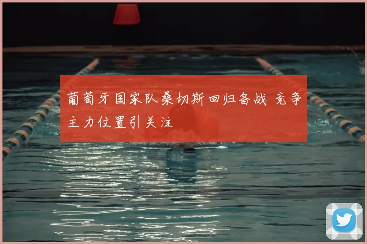 葡萄牙国家队桑切斯回归备战 竞争主力位置引关注
