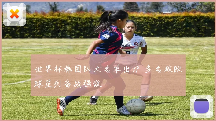 世界杯韩国队大名单出炉 多名旅欧球星列备战强敌