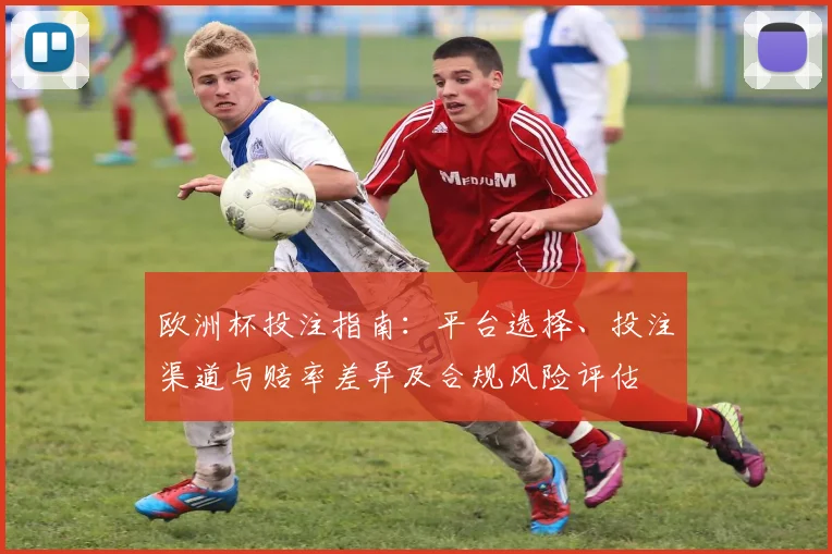 欧洲杯投注指南：平台选择、投注渠道与赔率差异及合规风险评估